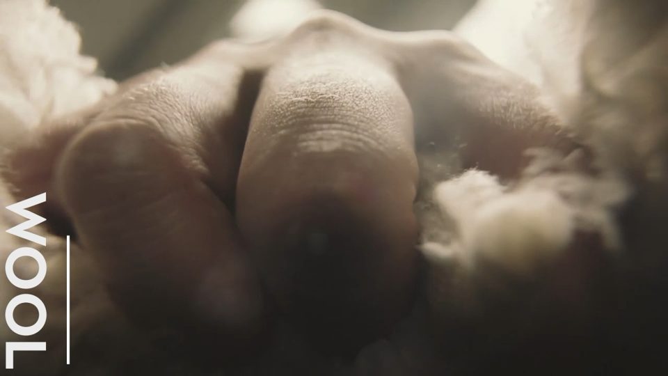 WOOL — Trend Film